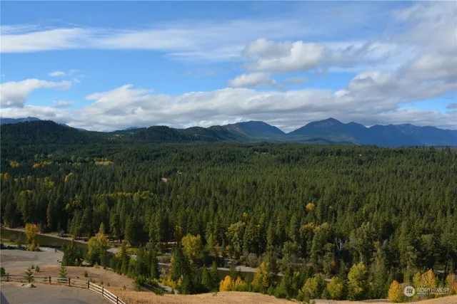 a view of a city with lush green forest