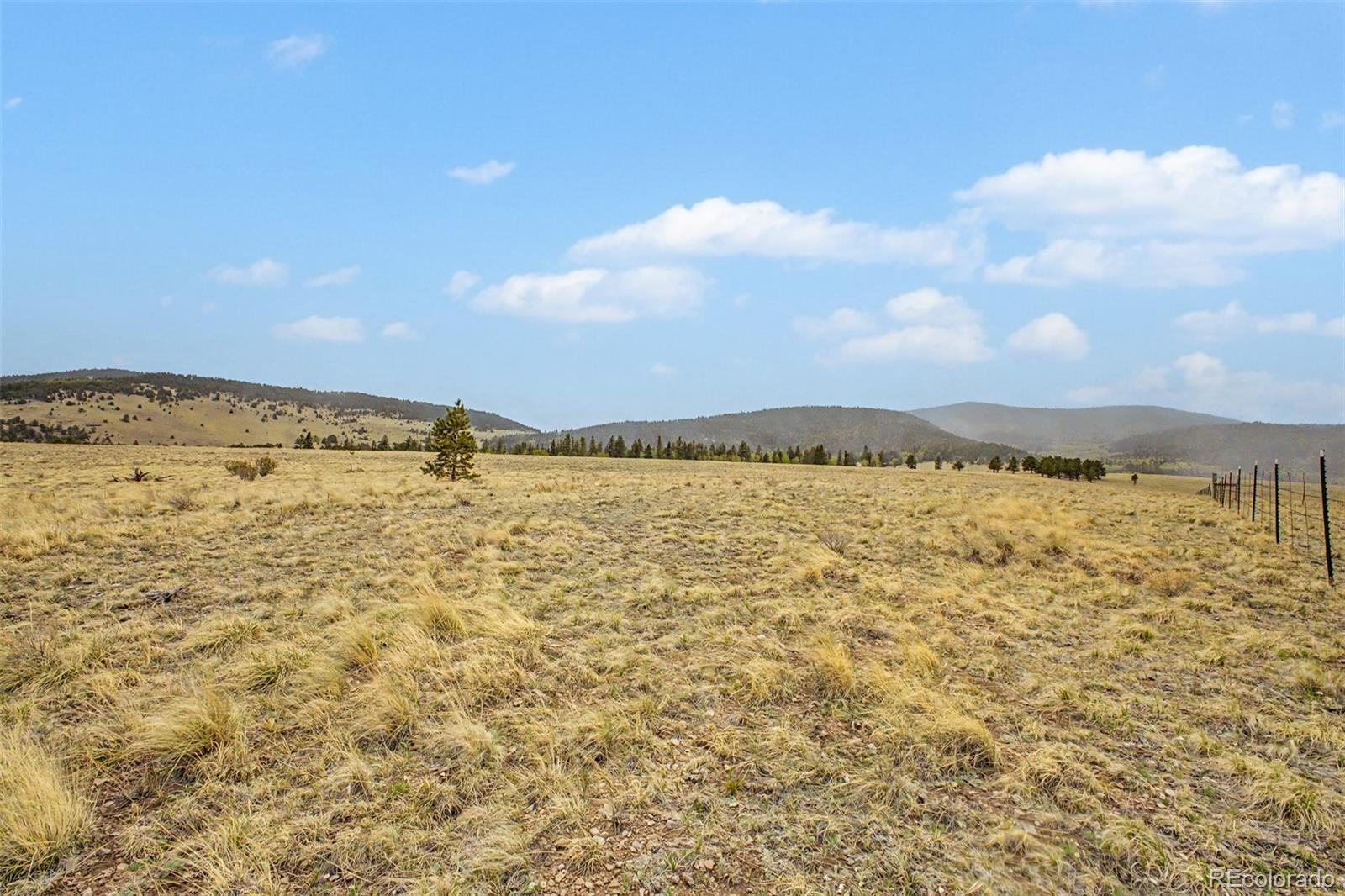 0 Ranger Station Road Florissant, CO 80816 - Photo 12 of 38 Gallery Image 12