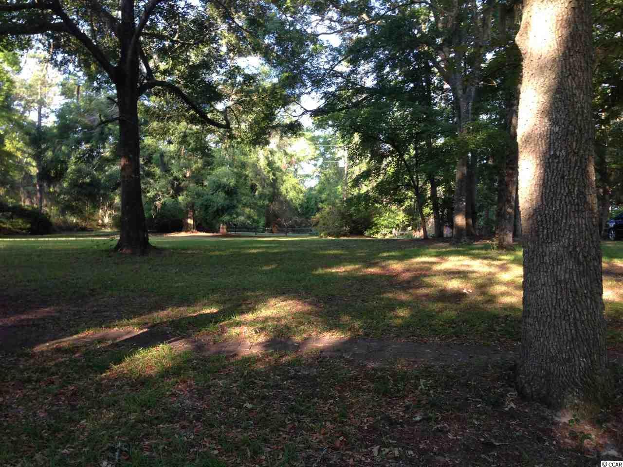 2217 Steep Landing Road Conway, SC 29526 - Photo 3 of 6 Gallery Image 3