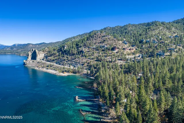 a view of a garden with mountains in the background