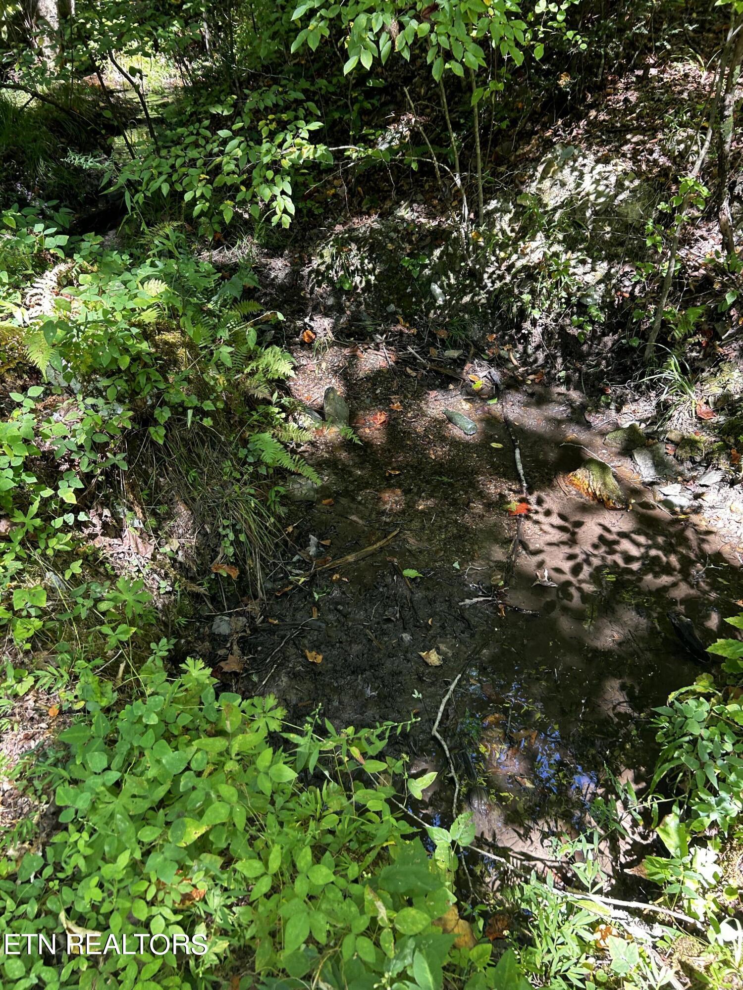 Bailey Road Tellico Plains, TN 37385 - Photo 4 of 9 IMG_5513