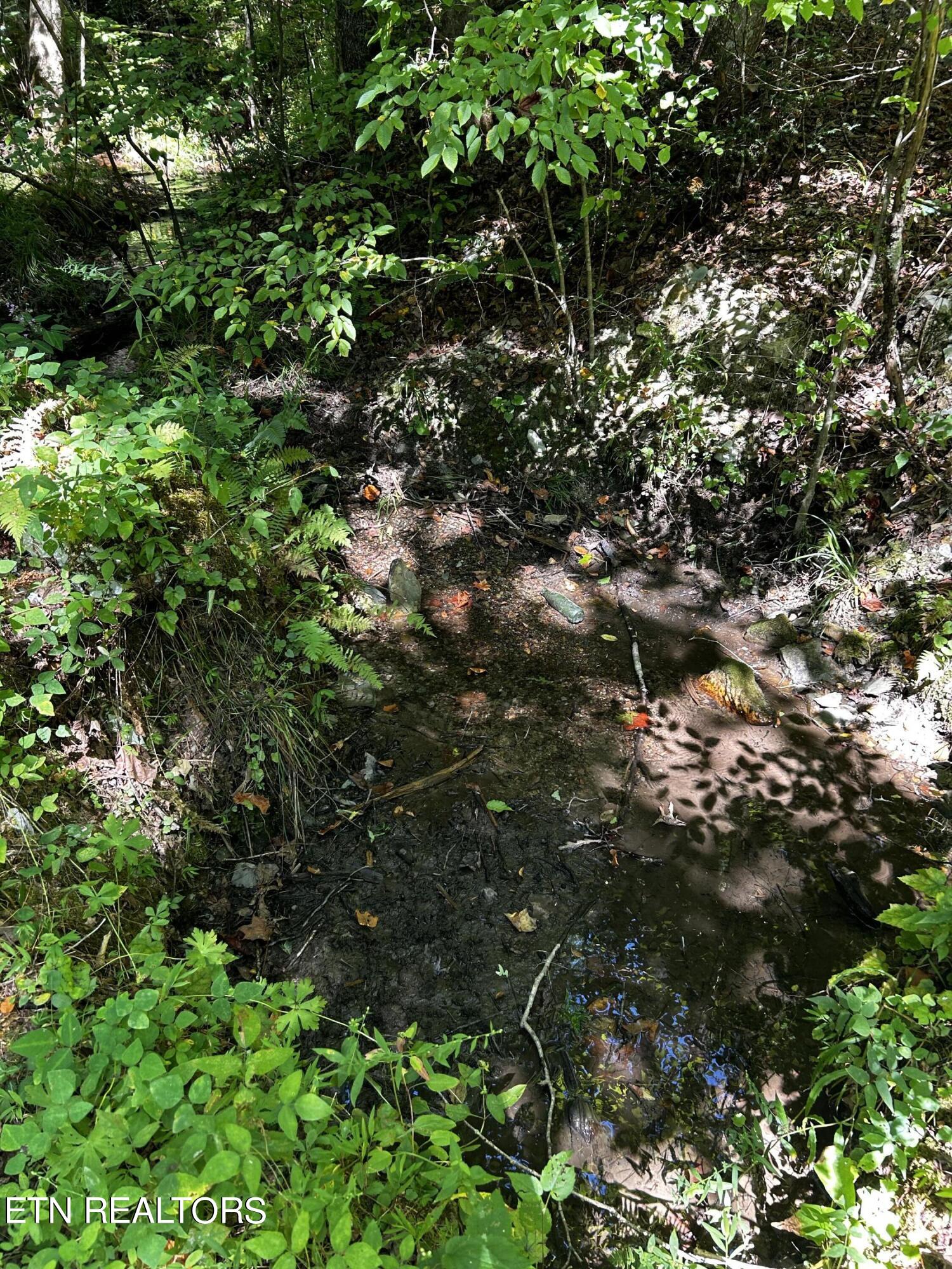 Bailey Road Tellico Plains, TN 37385 - Photo 5 of 9 IMG_5514