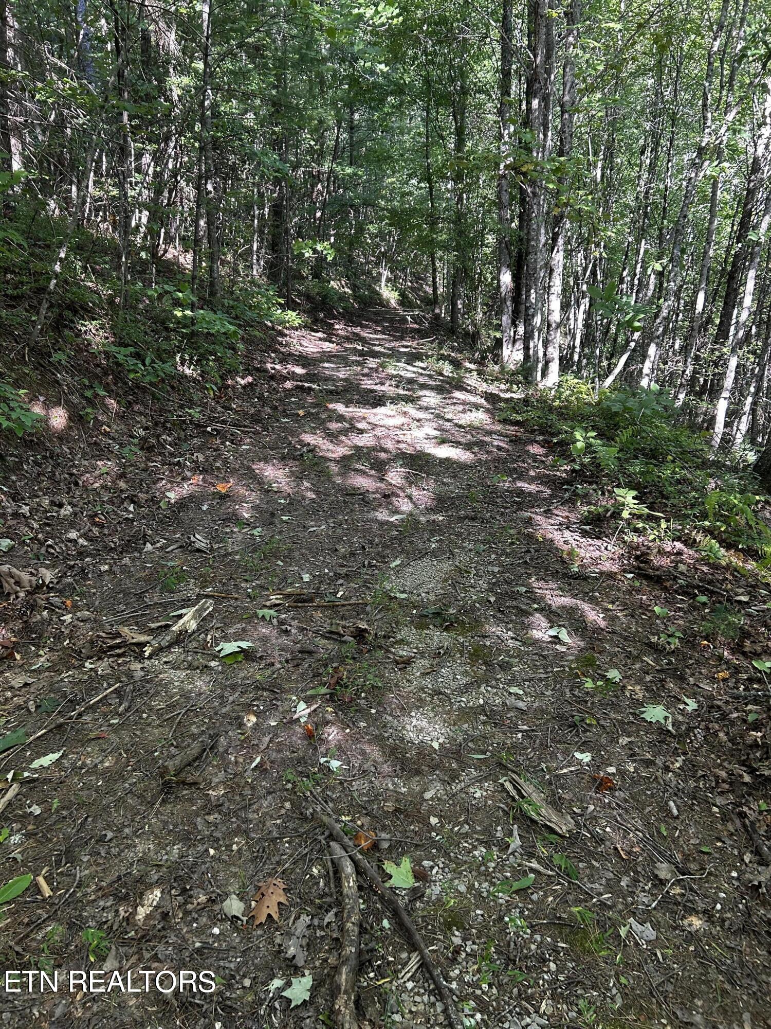 Bailey Road Tellico Plains, TN 37385 - Photo 8 of 9 IMG_5547