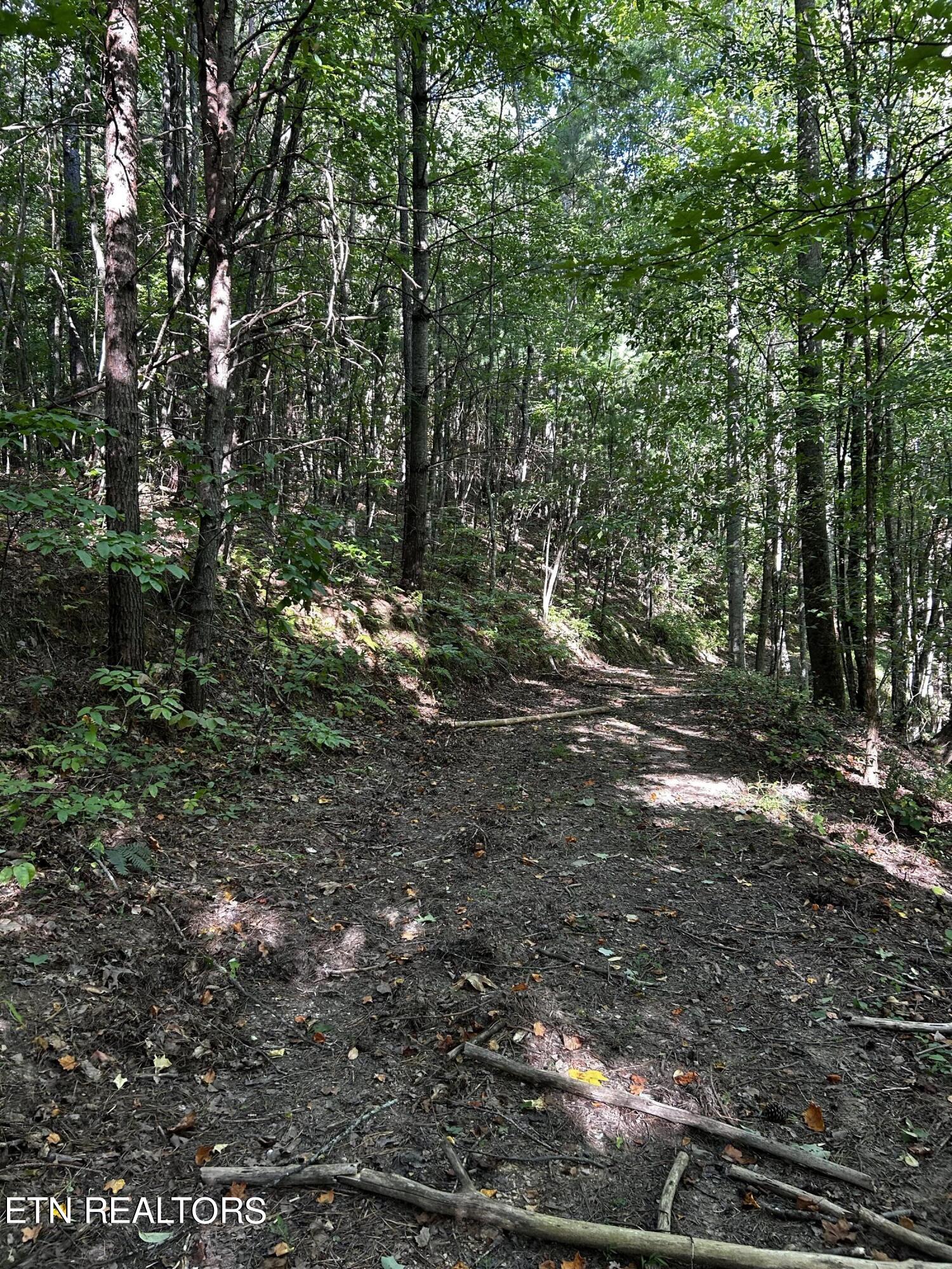 Bailey Road Tellico Plains, TN 37385 - Photo 9 of 9 IMG_5548