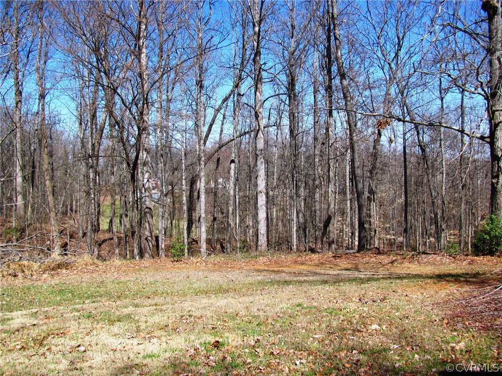 2178 Tower Hill Road Powhatan, VA 23139 - Photo 28 of 33 Gallery Image 28