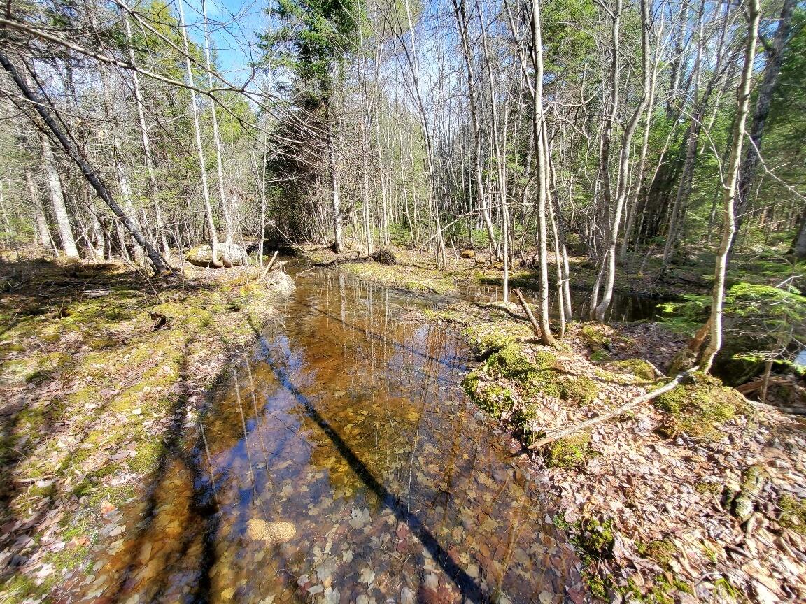 0 Howland (rte 155) Road Lagrange, ME 04453 - Photo 6 of 45 along ROW -land on Rt