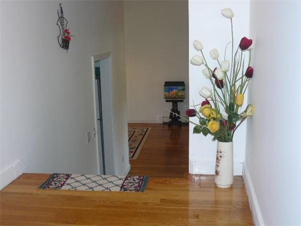 10 Fernwood Road Acton, MA 01720 - Photo 6 of 20 Gallery Image 6