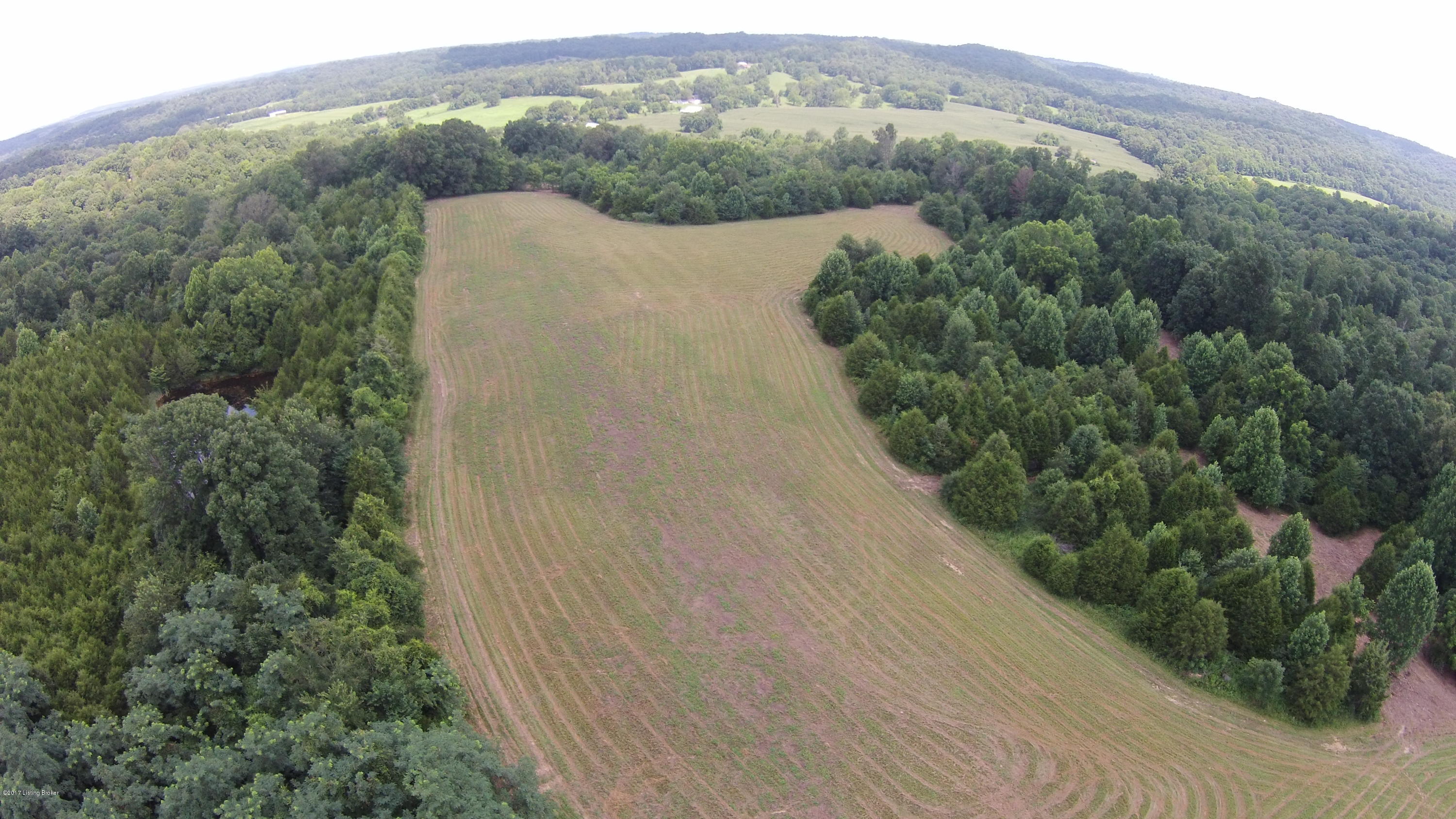 1192 Mell Cork Road, Unit ALL Edmonton, KY 42129 - Photo 3 of 44 DJI00125