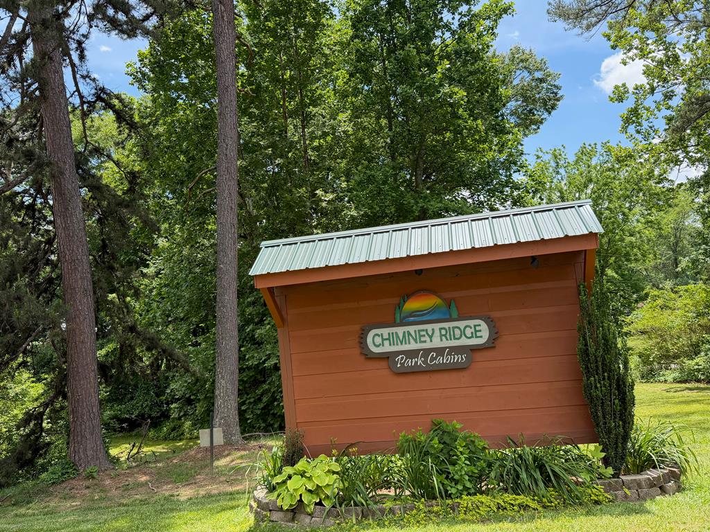 445 Chimney Ridge Blairsville, GA 30512 - Photo 29 of 29