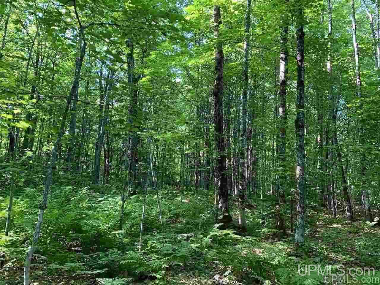 189 Orange Road Pelkie, MI 49958 - Photo 3 of 5