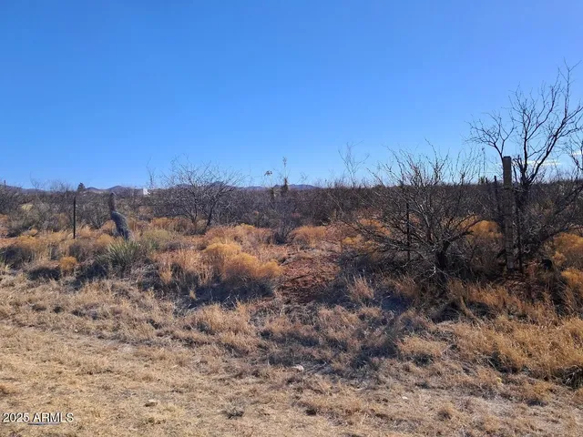 a view of a dry field