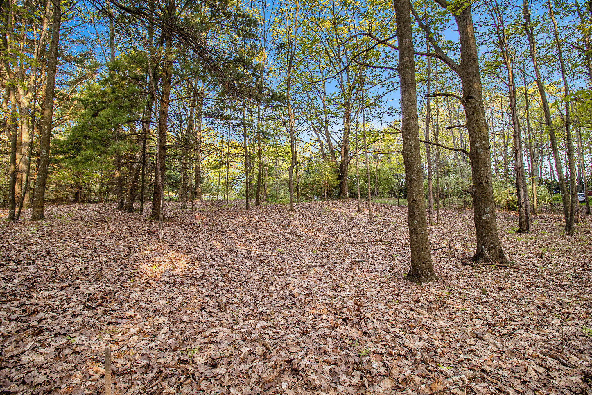 Parcel A Birchmere Road Mears, MI 49436 - Photo 4 of 24 031_625a0514_922