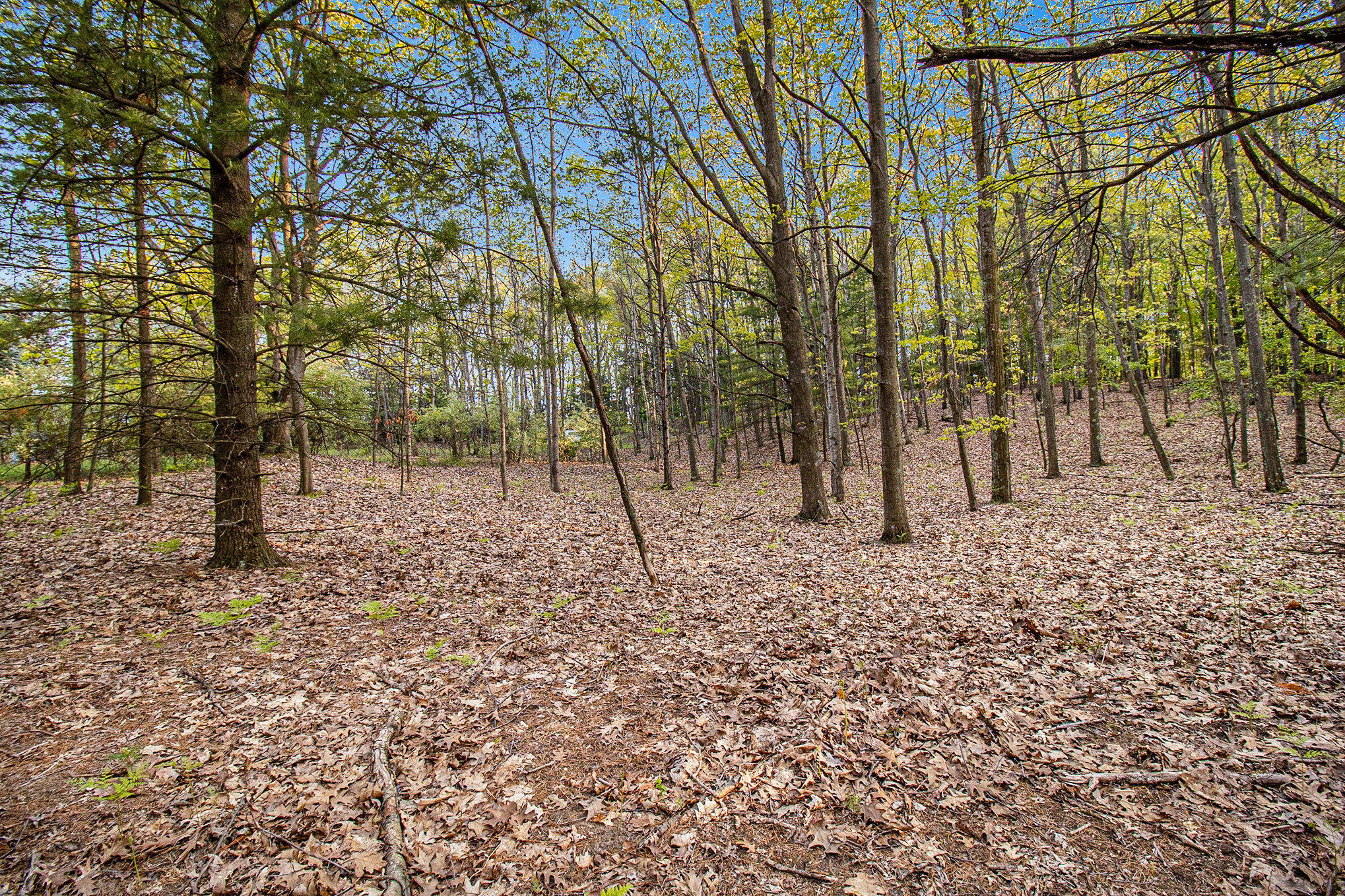 Parcel A Birchmere Road Mears, MI 49436 - Photo 5 of 24 032_625a0515_52