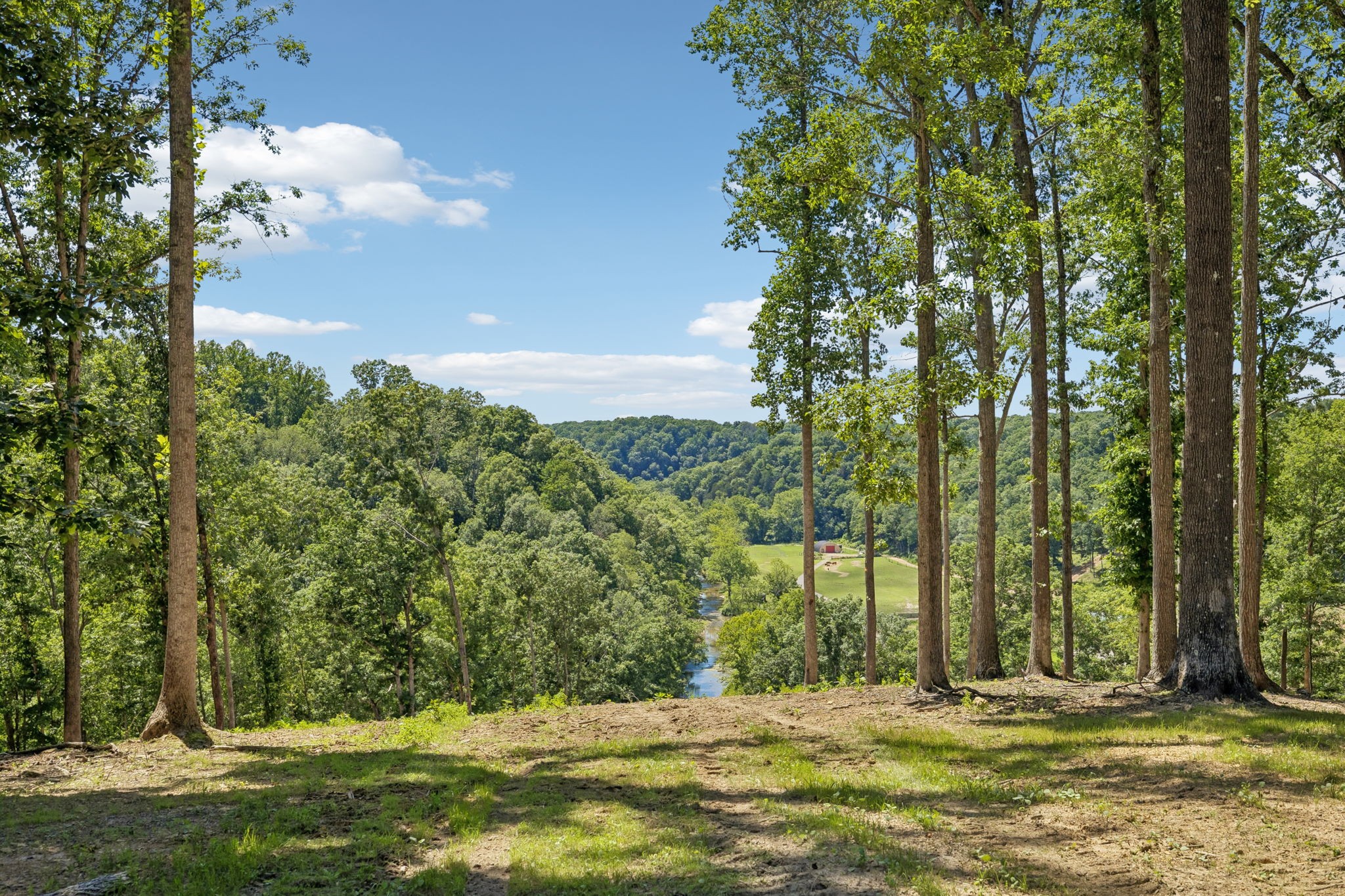 0 Axis Ridge Joelton, TN 37080 - Photo 3 of 19 a view of a yard