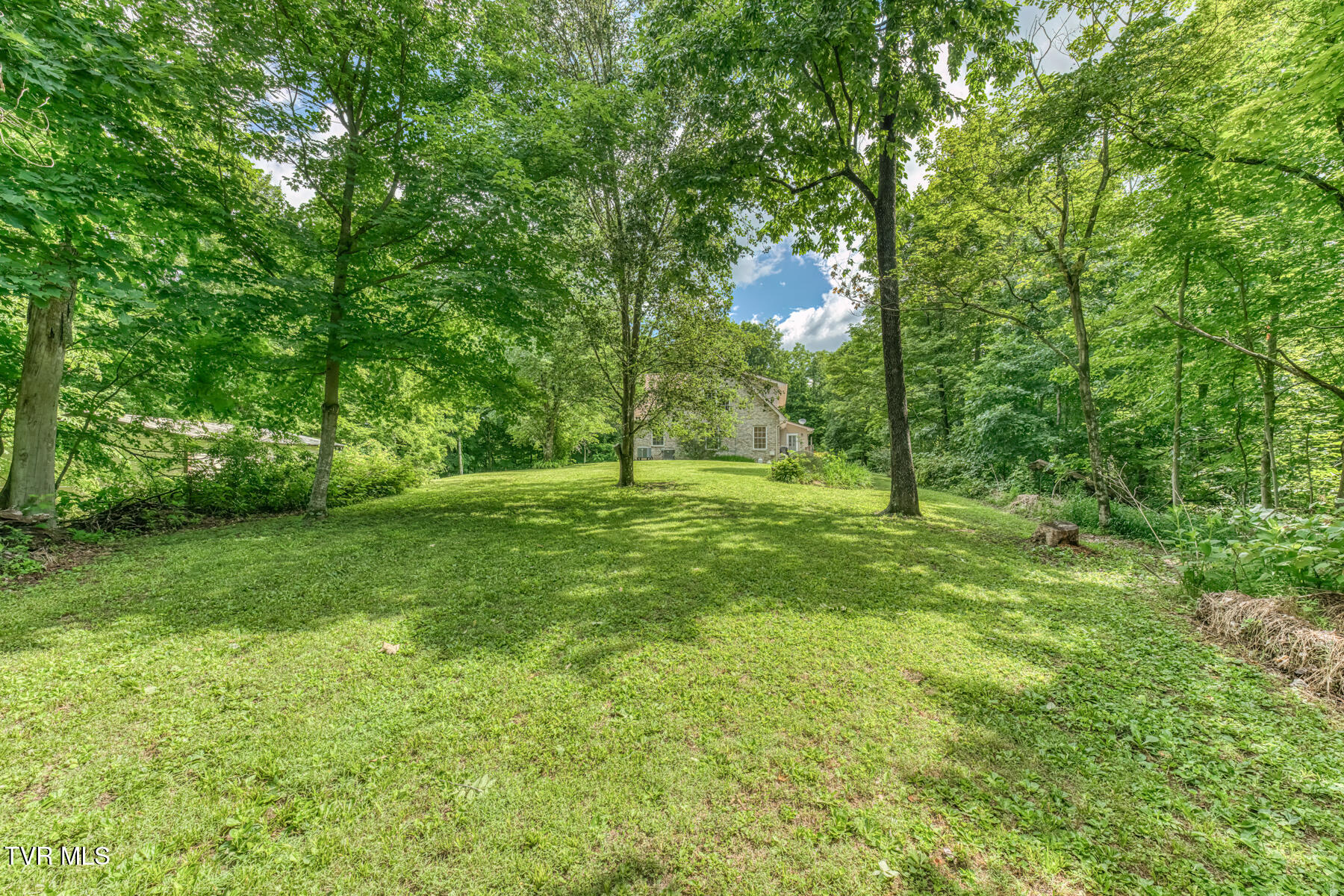 210 Telford Road Telford, TN 37690 - Photo 99 of 105 210 Telford Rd-77