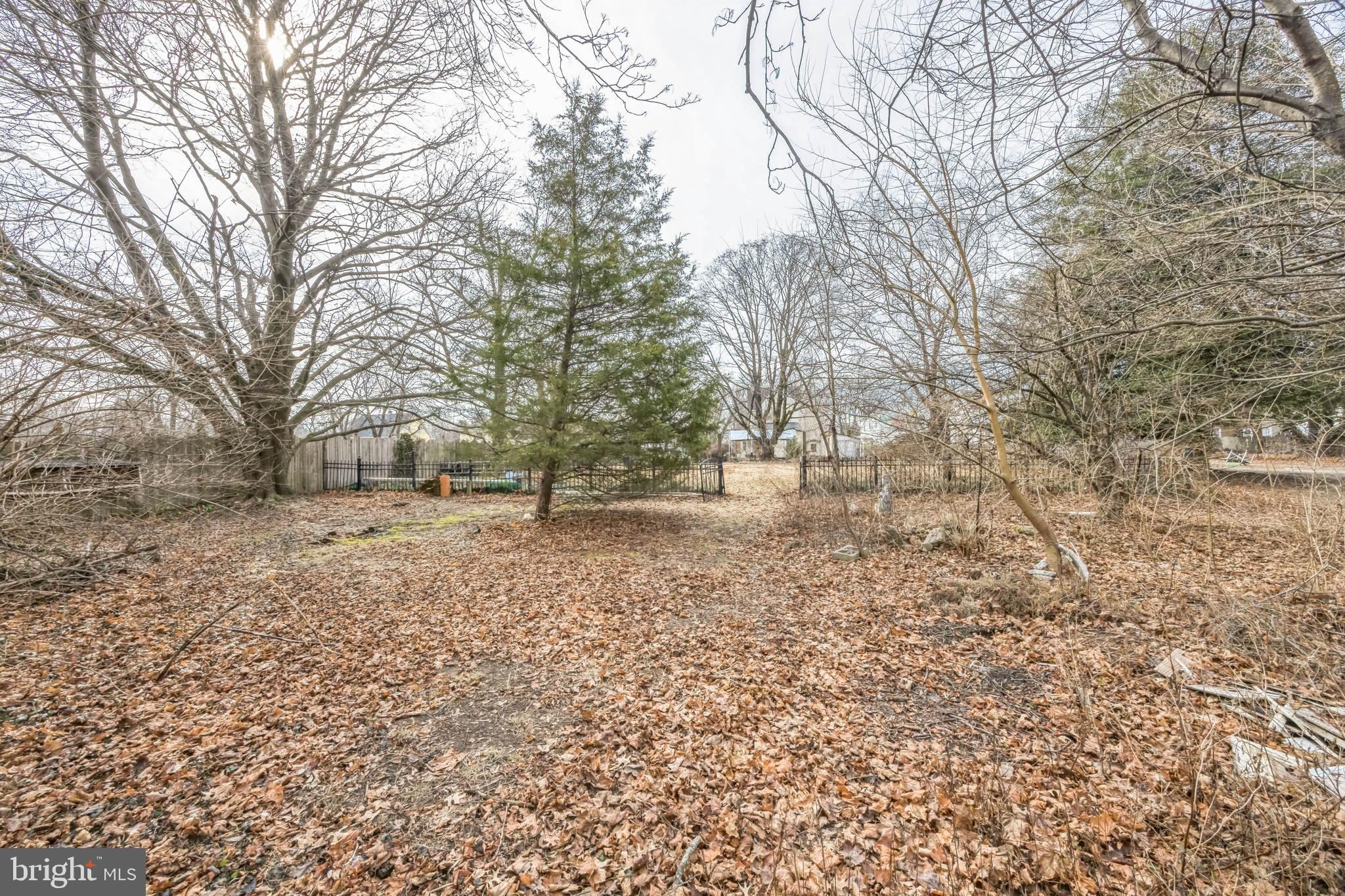 21 Hartford Road Mount Laurel, NJ 08054 - Photo 26 of 26 a view of outdoor space with trees