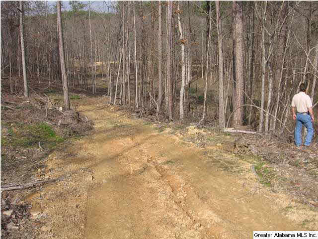720 Sportsman Lake Road, Unit 4 2 AC Springville, AL 35146 - Photo 2 of 14