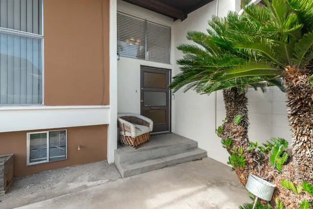 a potted plant sitting in front of a house