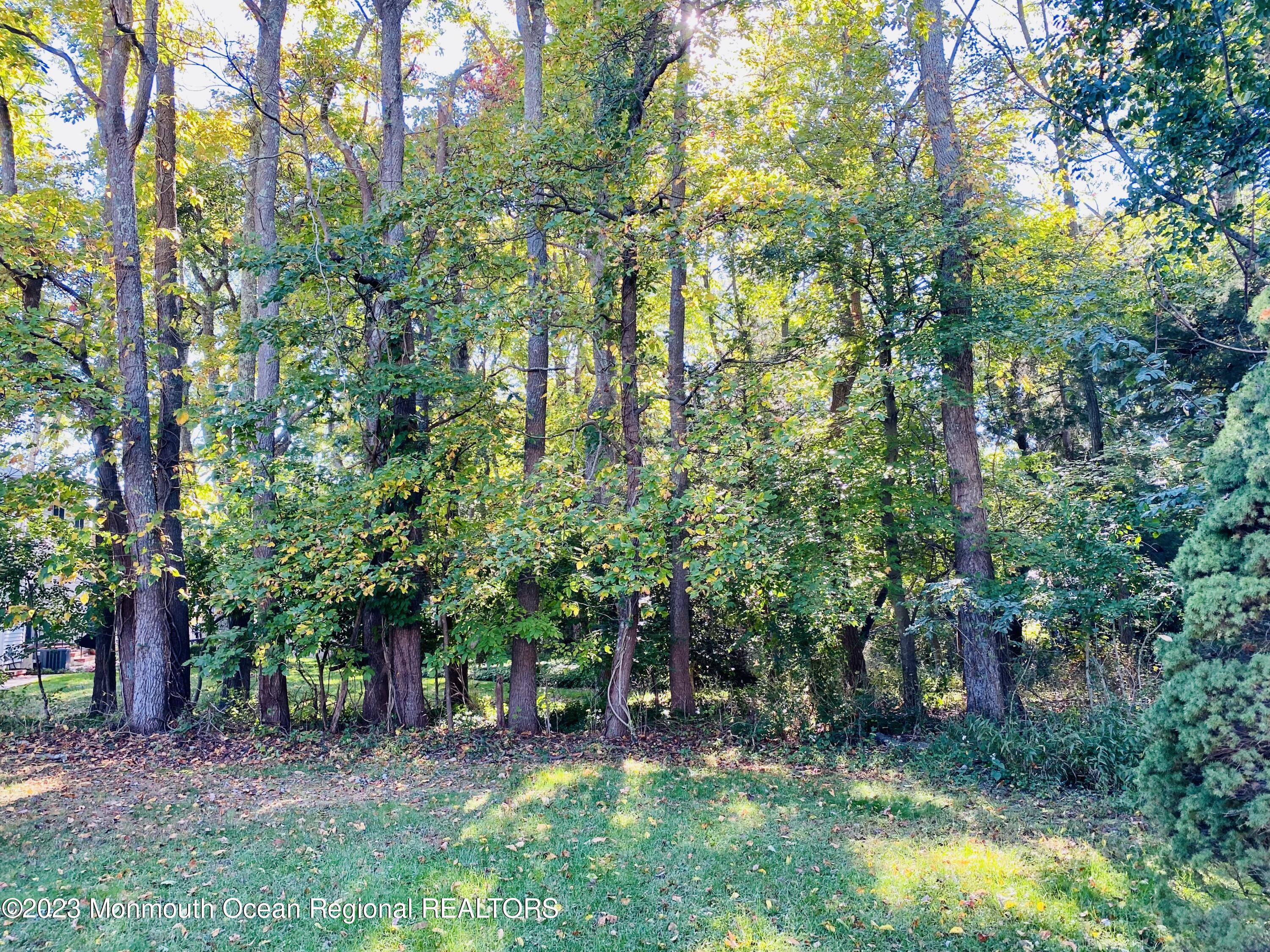 12 Spicy Pond Road Howell, NJ 07731 - Photo 16 of 19 a view of a backyard with swimming pool