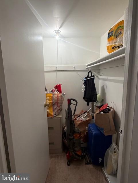 11260 Chestnut Grove Square, Unit 338 Reston, VA 20190 - Photo 10 of 18 a view of a entryway with storage