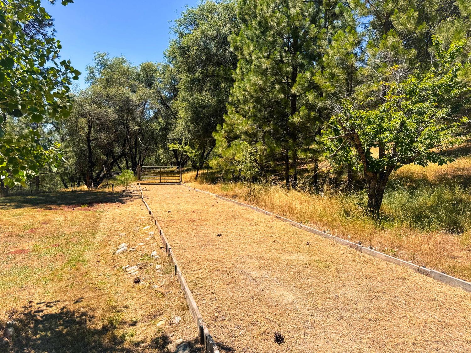 6425 Quartz Mine Road Mountain Ranch, CA 95246 - Photo 68 of 70