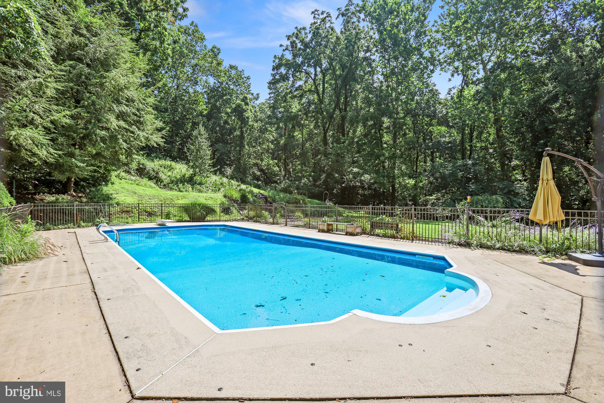 875 Stoverdale Road Hummelstown, PA 17036 - Photo 29 of 33 Patio and Pool