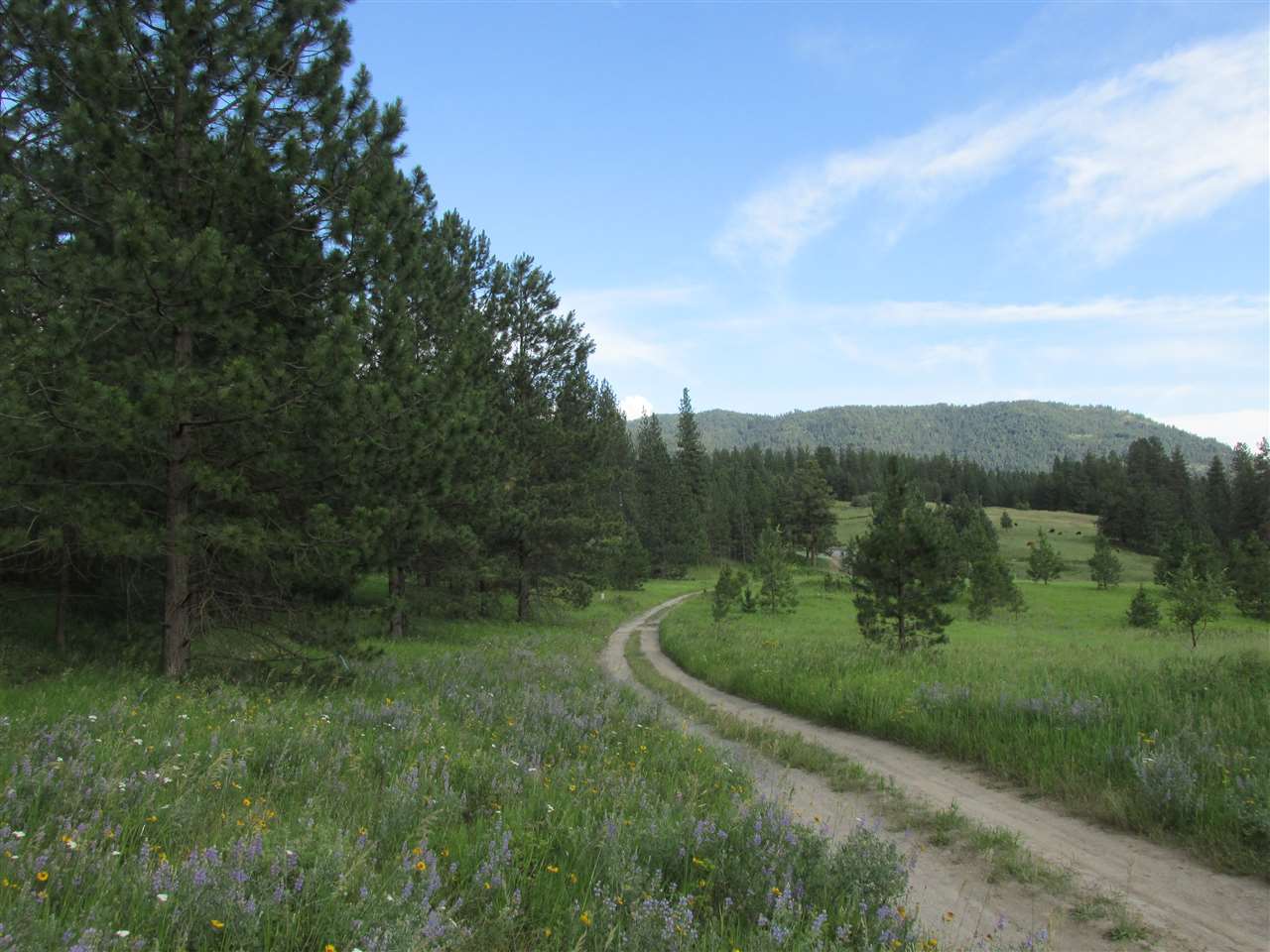 96 Westover Road Colville, WA 99114 - Photo 2 of 11 Gallery Image 2