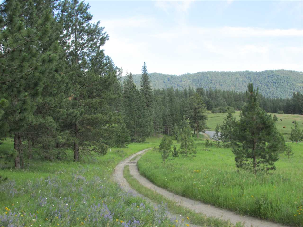 96 Westover Road Colville, WA 99114 - Photo 4 of 11 Gallery Image 4