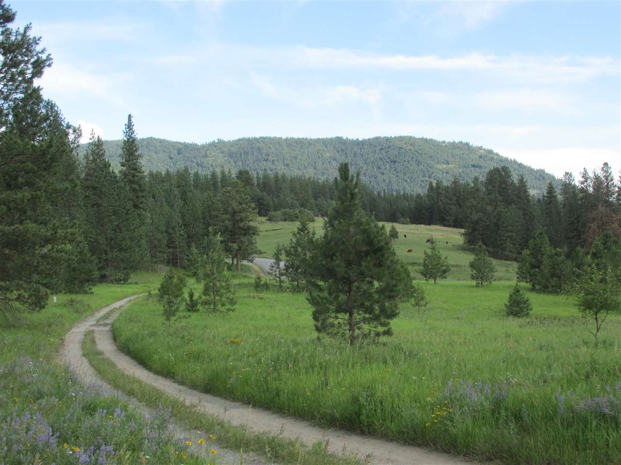 96 Westover Road Colville, WA 99114 - Photo 5 of 11 Gallery Image 5