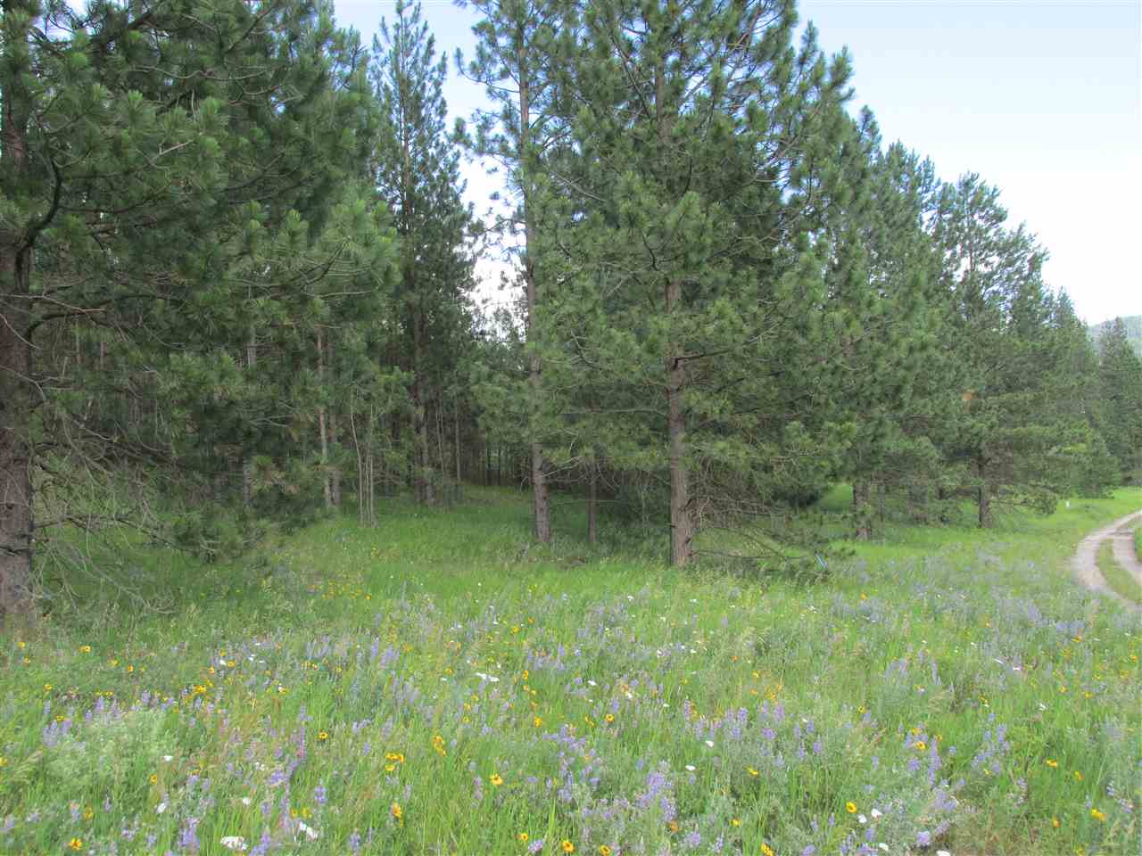 96 Westover Road Colville, WA 99114 - Photo 6 of 11 Gallery Image 6