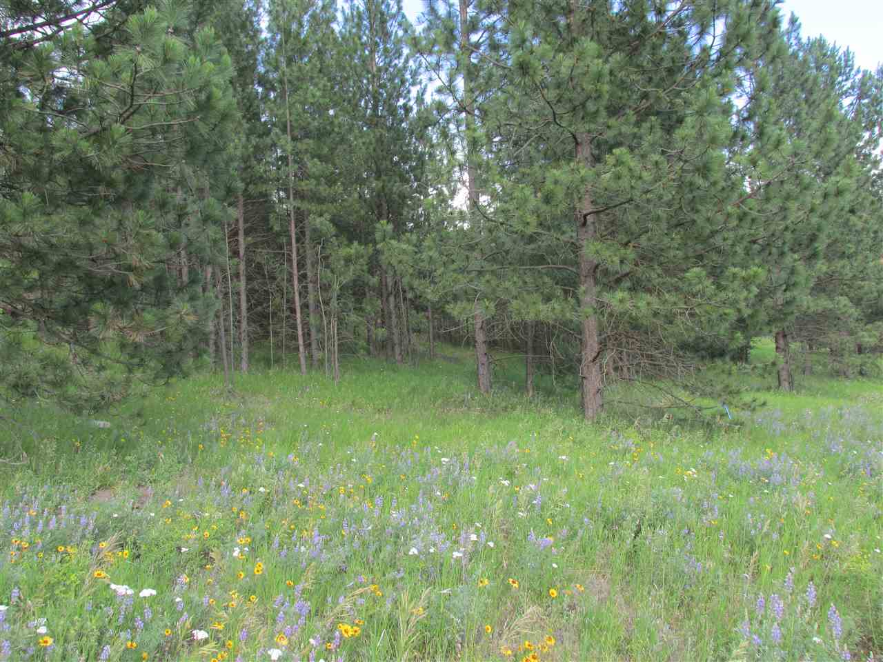 96 Westover Road Colville, WA 99114 - Photo 7 of 11 Gallery Image 7