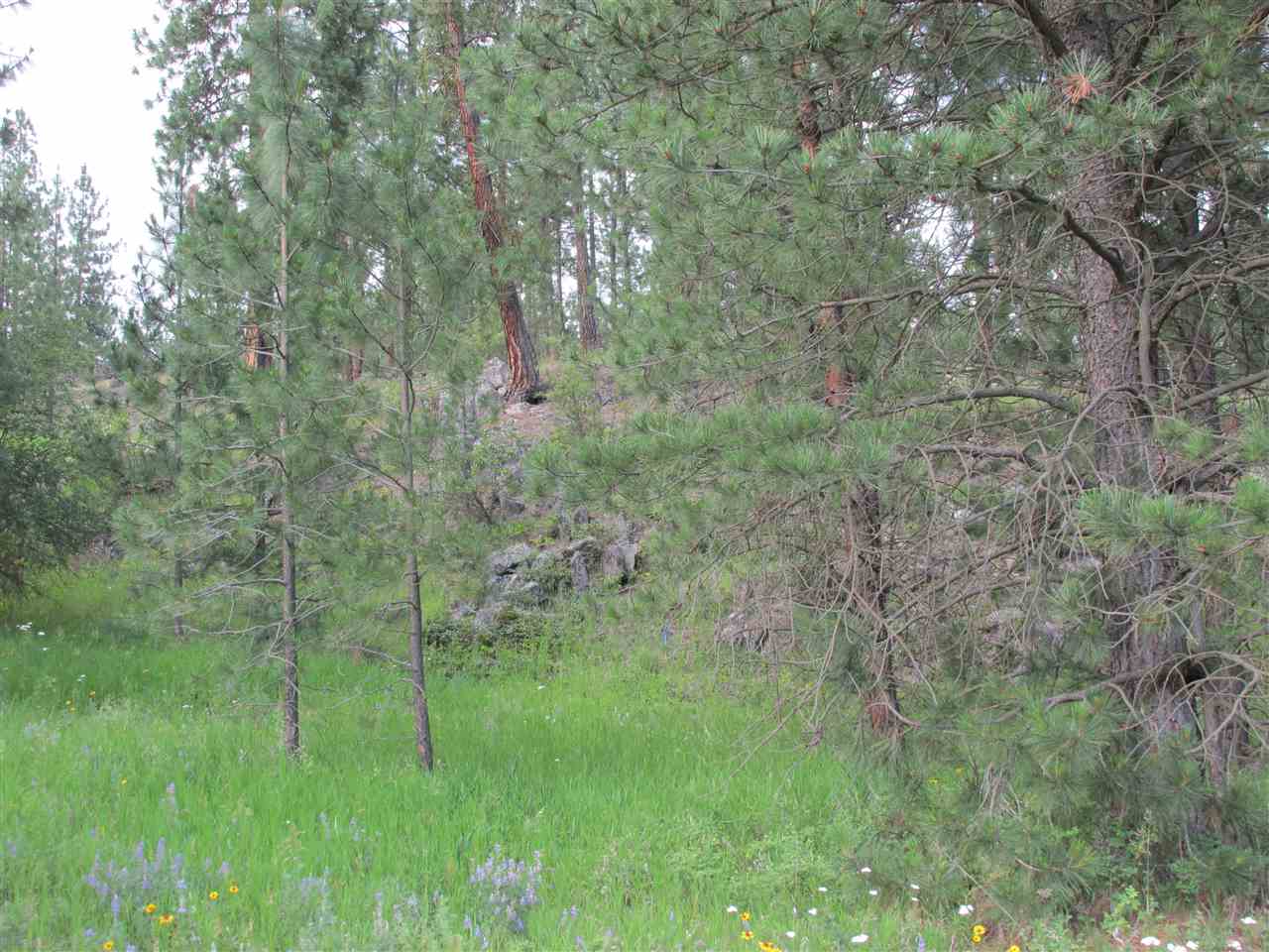 96 Westover Road Colville, WA 99114 - Photo 8 of 11 Gallery Image 8