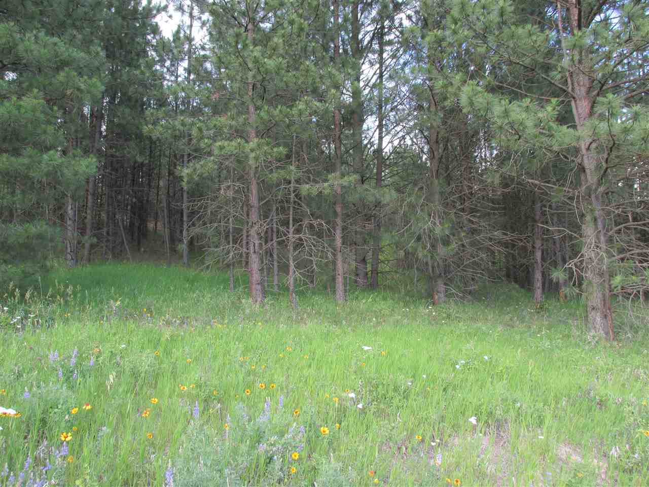 96 Westover Road Colville, WA 99114 - Photo 9 of 11 Gallery Image 9