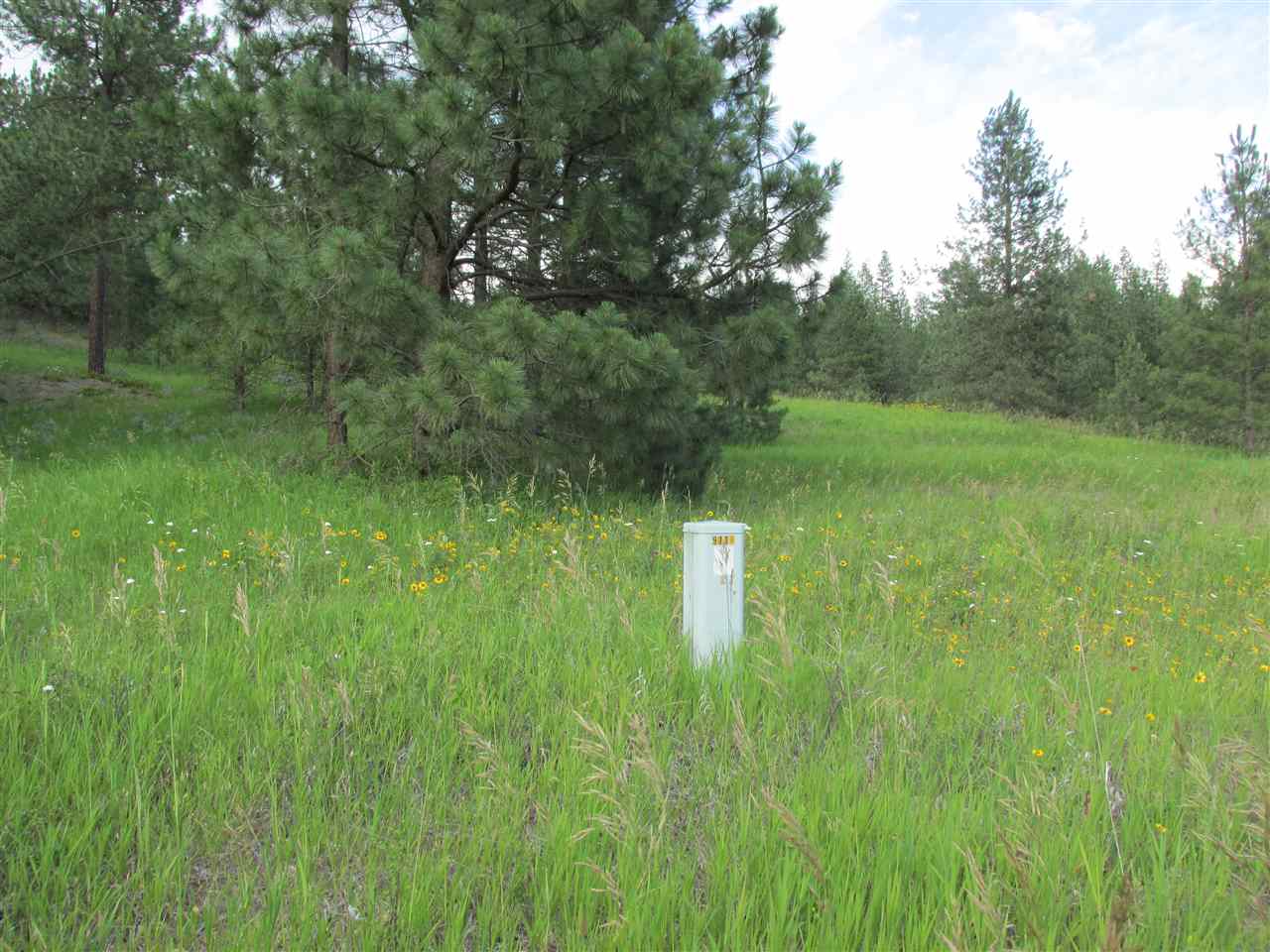 96 Westover Road Colville, WA 99114 - Photo 10 of 11 Gallery Image 10