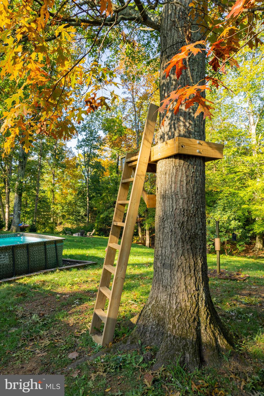 113 2nd Street Fredericksburg, PA 17026 - Photo 17 of 56