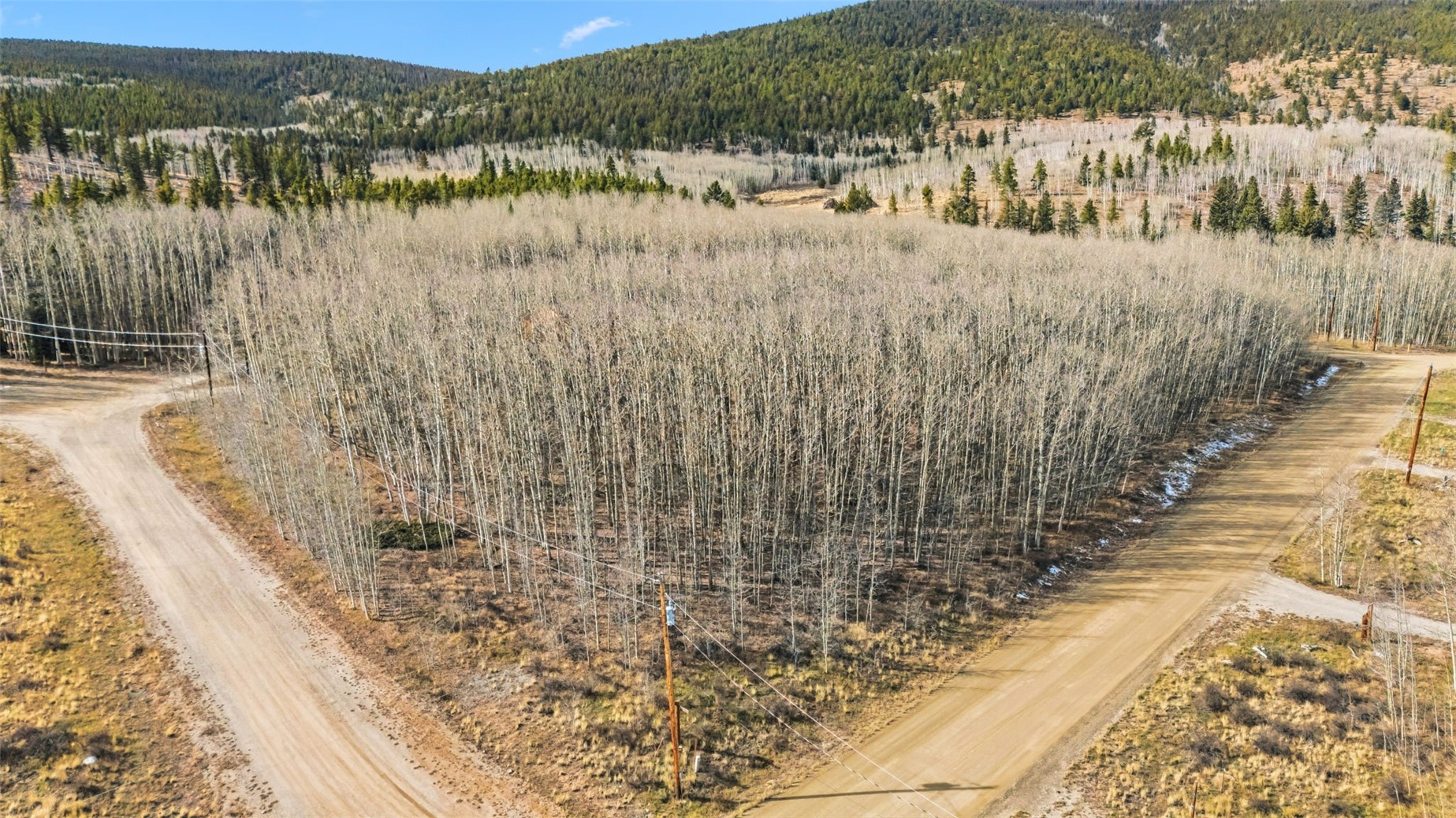 1097 High Creek Road Fairplay, CO 80440 - Photo 8 of 19 Aerial view of a forest and mountains