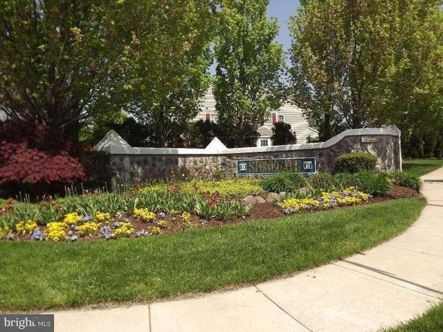 a view of a garden with a pathway