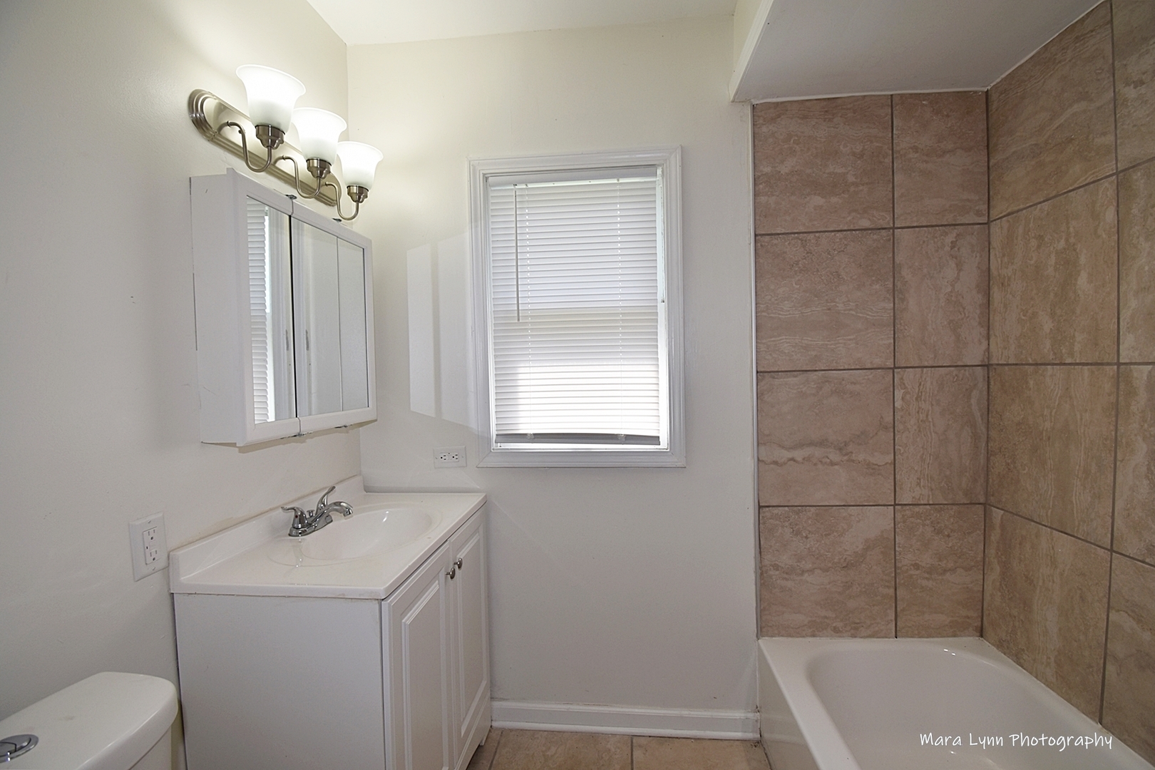 2413 Pecan Street Joliet, IL 60435 - Photo 10 of 14 a bathroom with a sink a toilet and shower