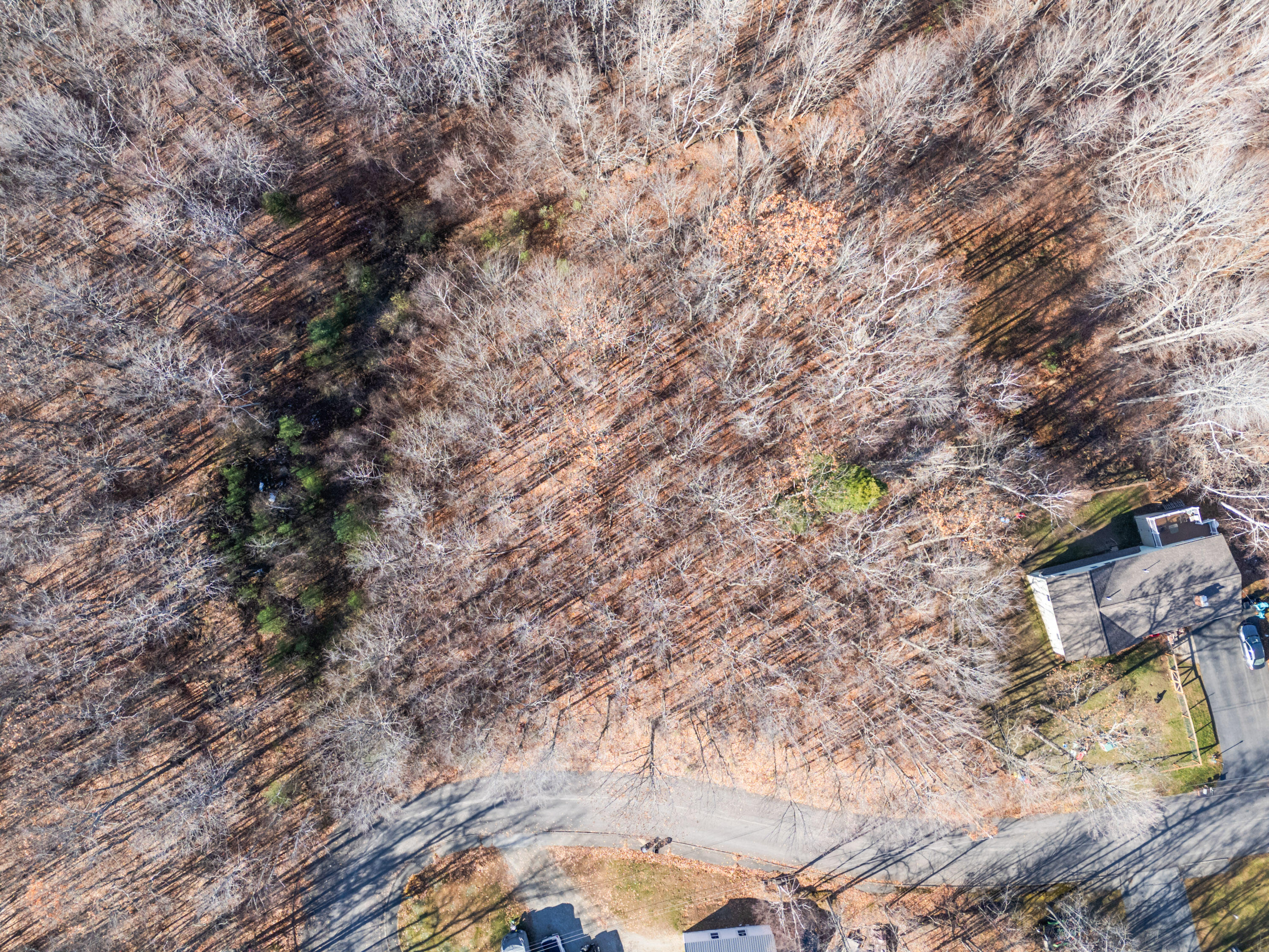 118 Cathy Street Augusta, ME 04330 - Photo 2 of 24 Lot 118 Cathy St_102