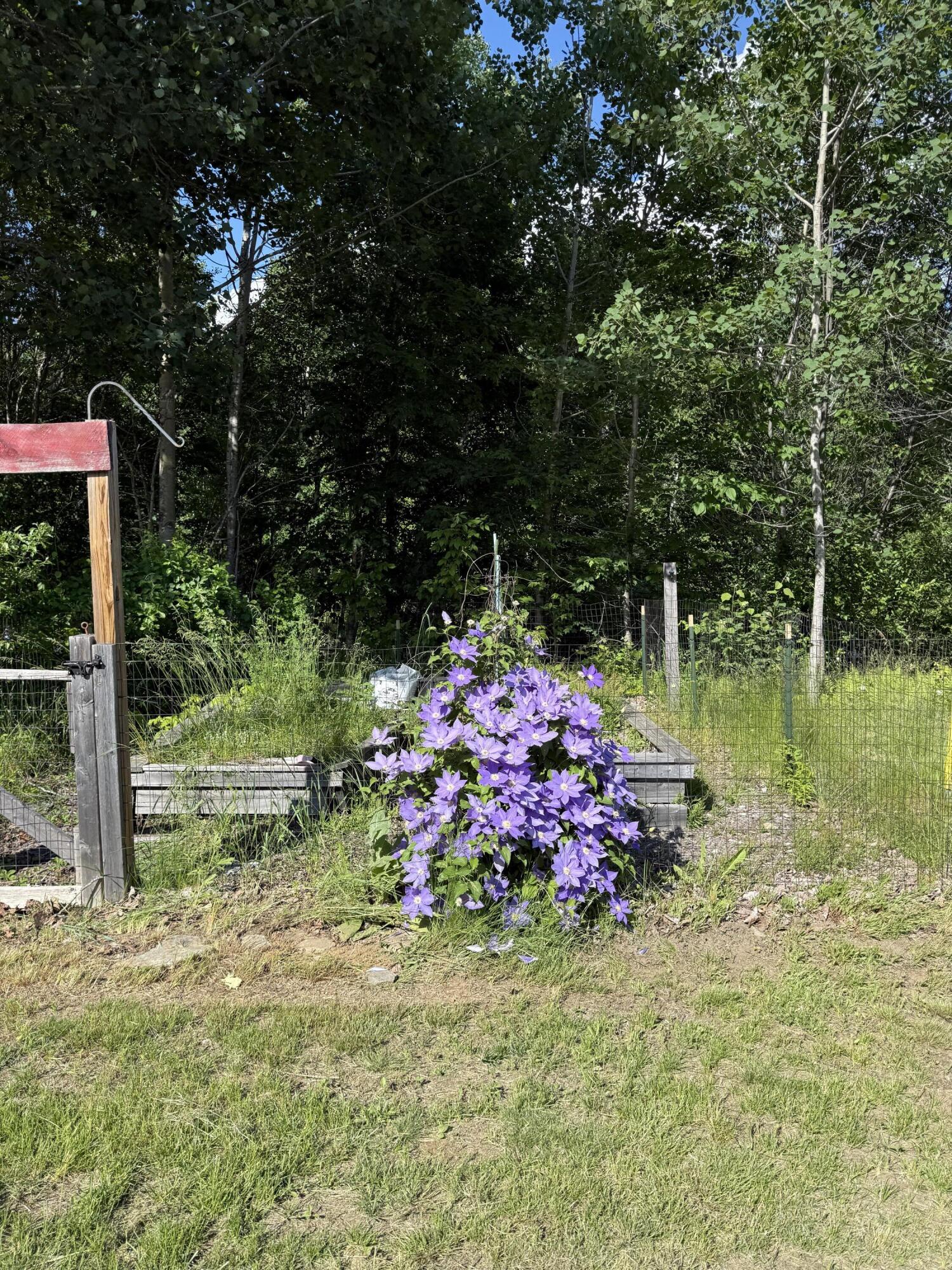 157 Durgin Road Paris, ME 04281 - Photo 25 of 32 Perennials