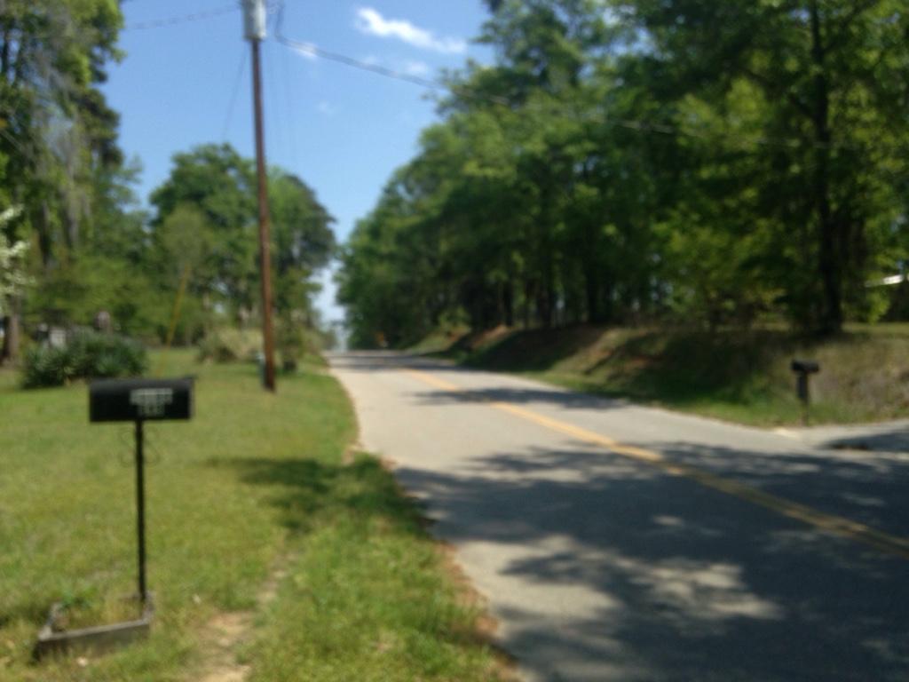 649 Stumphole Road Elloree, SC 29047 - Photo 10 of 11 Road View 1
