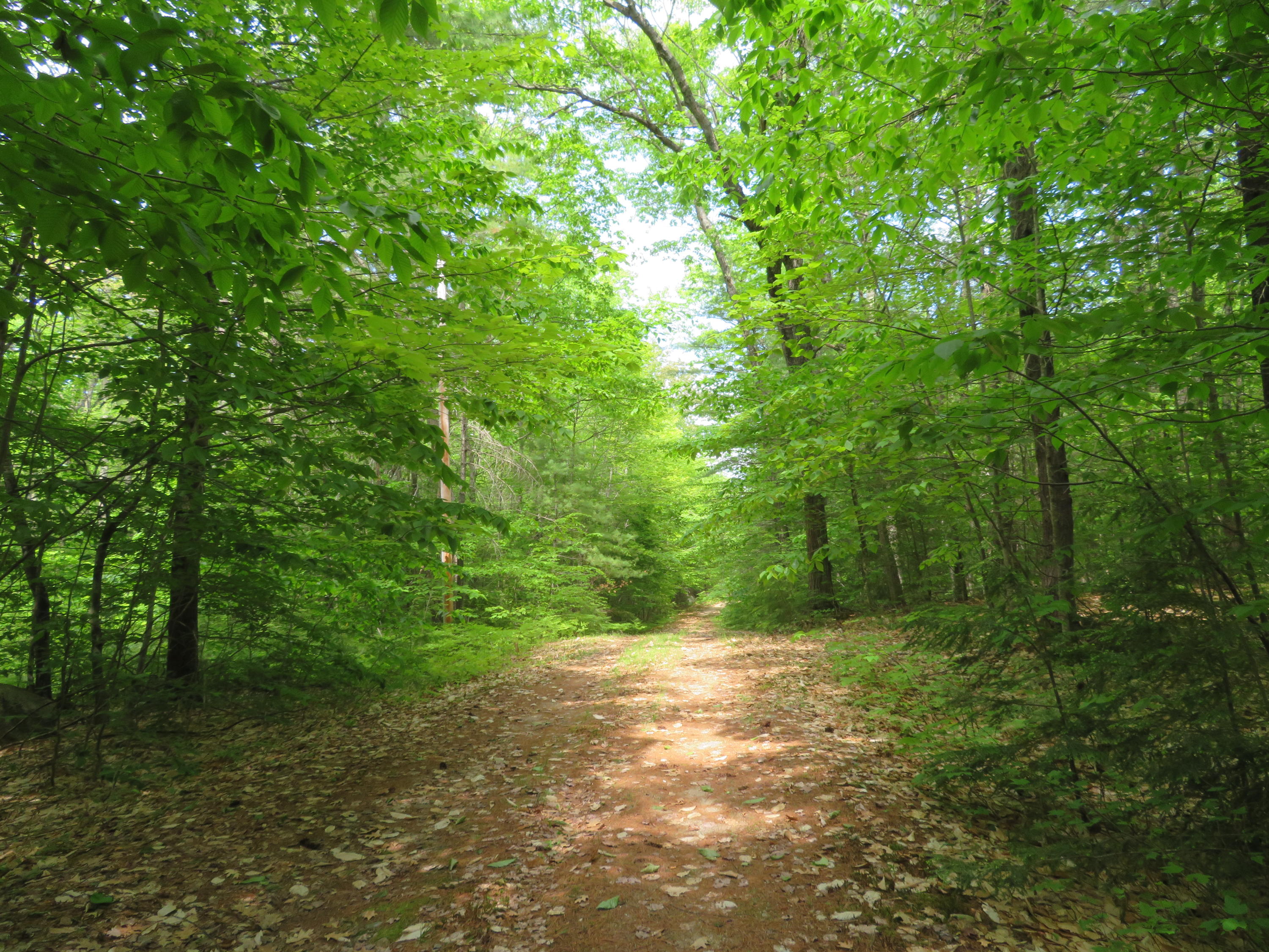 Lot 7-4 White Road Sebago, ME 04029 - Photo 2 of 9 WhitePeabodyPond 001