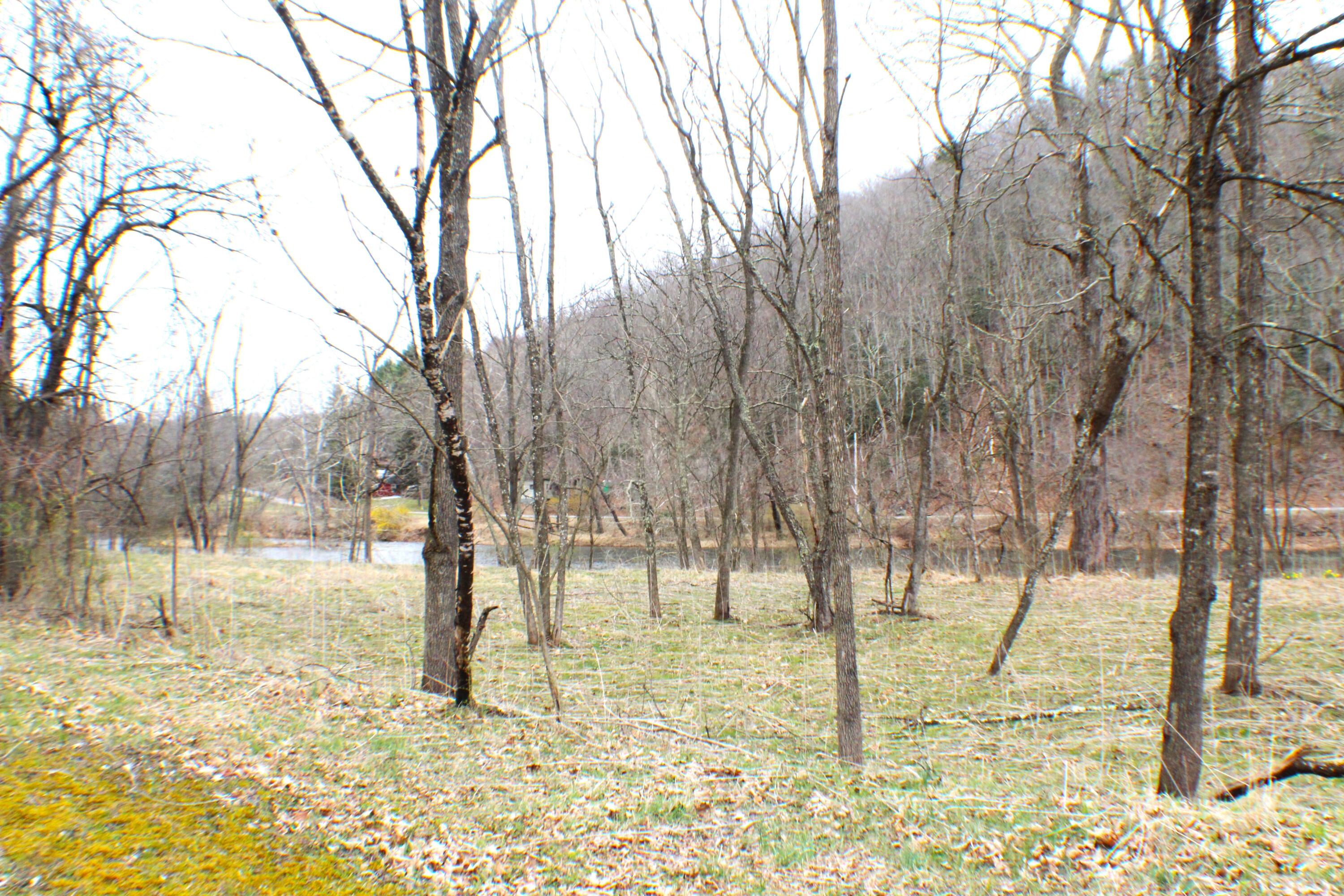11963 Edray Road Cass, WV 24927 - Photo 5 of 29 Gallery Image 5