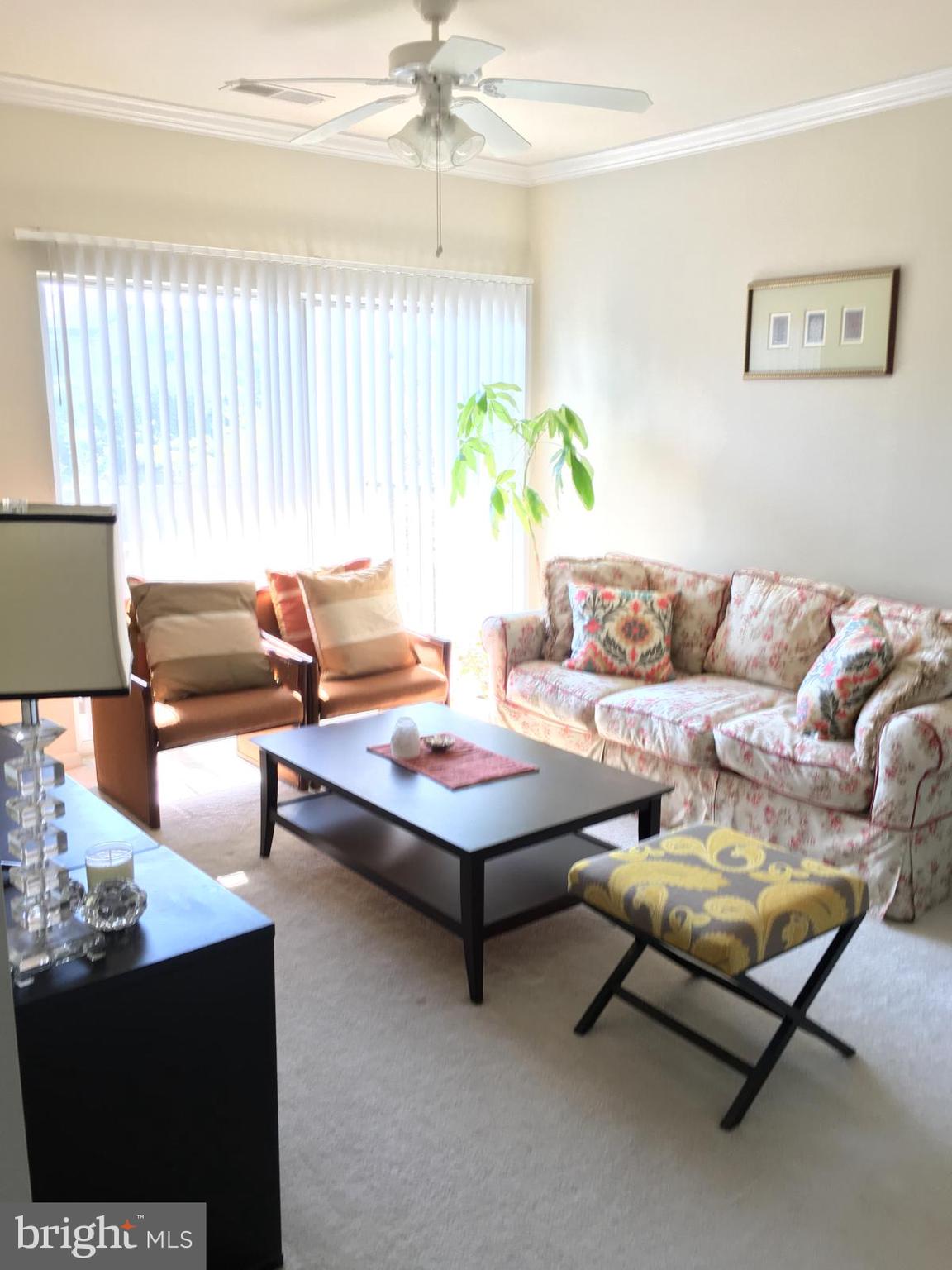 19609 Galway Bay Circle, Unit 303 Germantown, MD 20874 - Photo 2 of 22 a living room with furniture and a potted plant