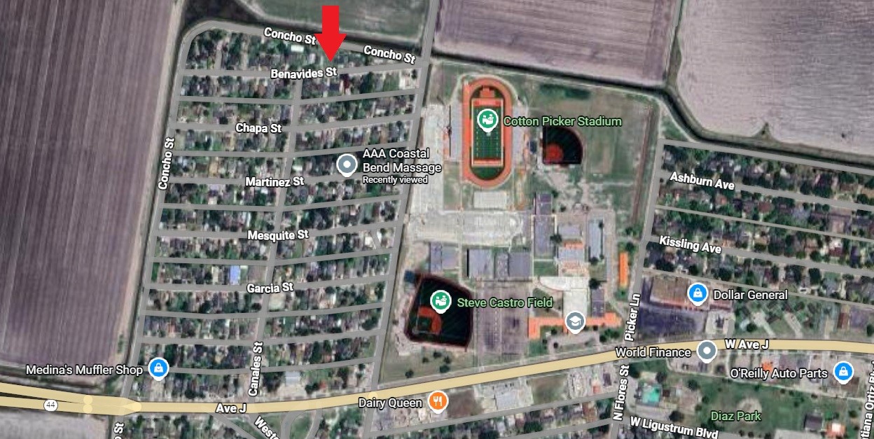 821 Benavides Street Robstown, TX 78380 - Photo 3 of 3