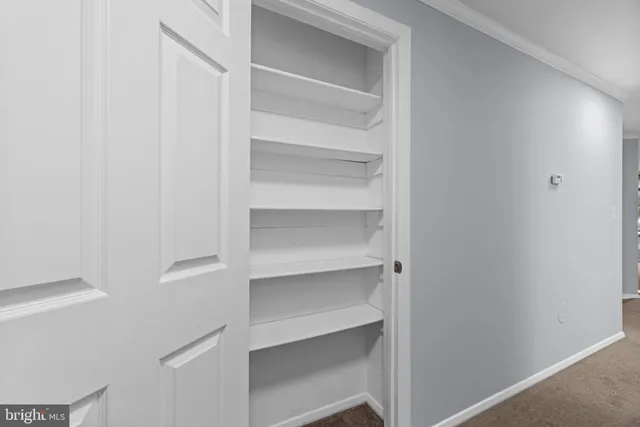 a view of walk in closet with empty racks