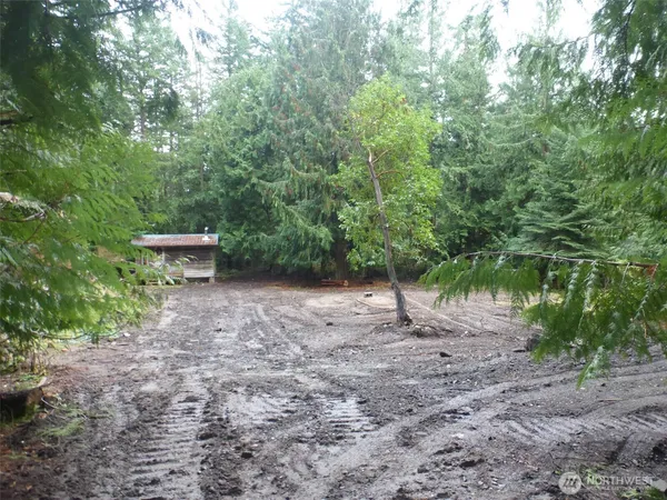 a view of a backyard with large trees