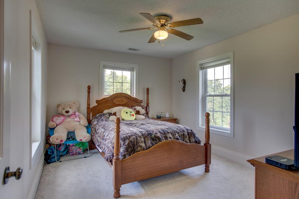 2999 Lewis Road Santa Fe, TN 38482 - Photo 19 of 30