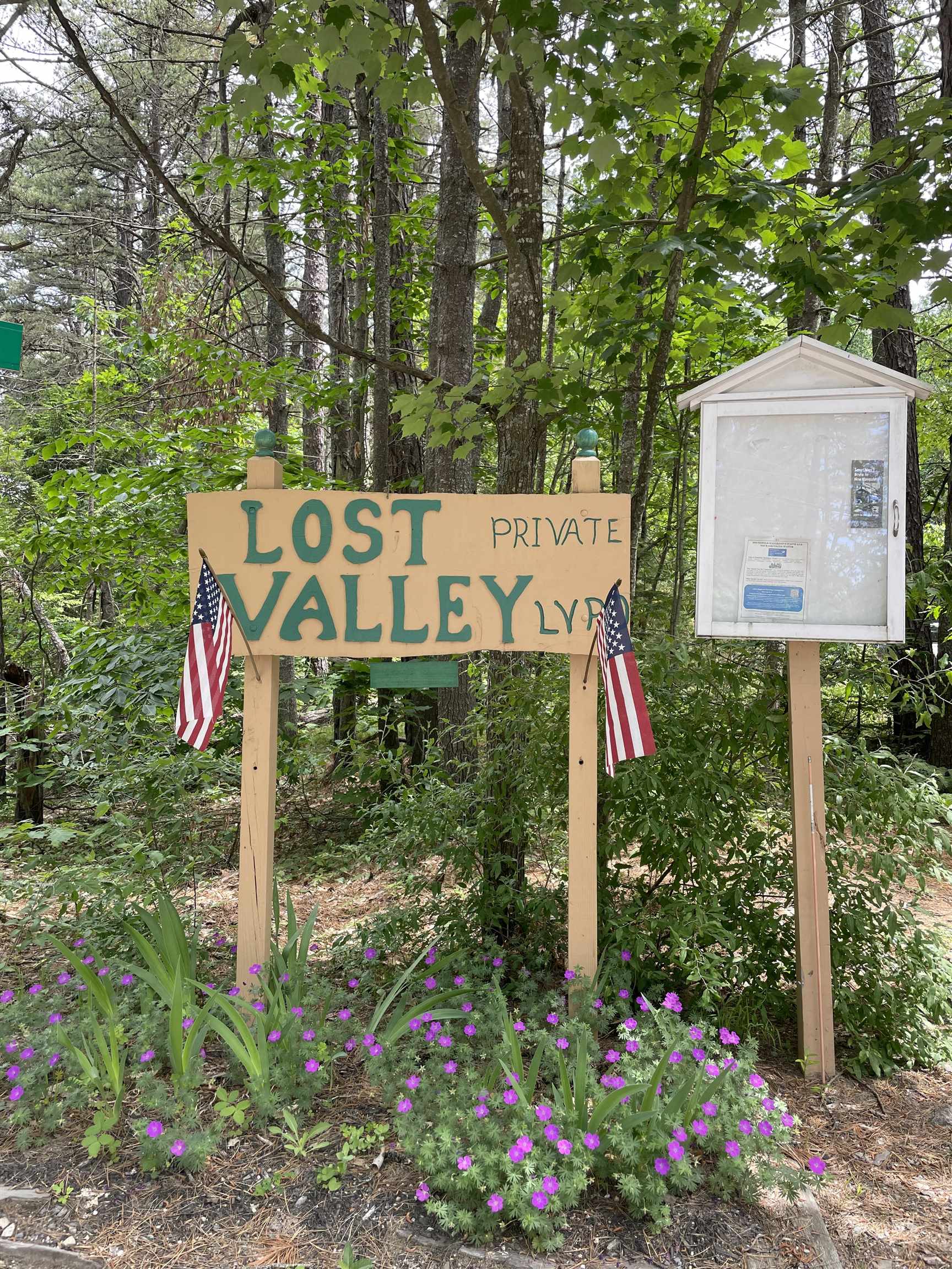 135 Pine River Path Effingham, NH 03882 - Photo 35 of 35