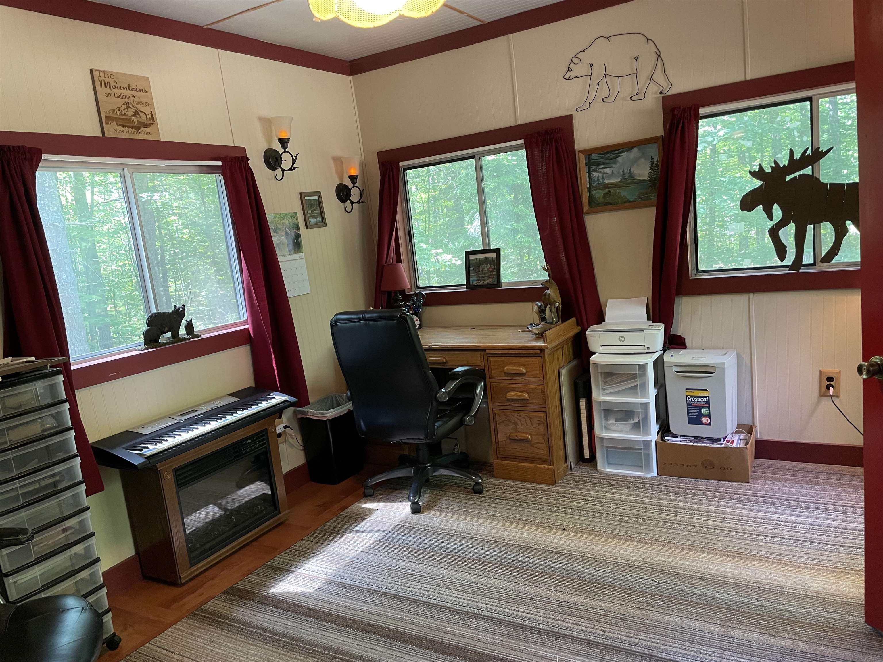 135 Pine River Path Effingham, NH 03882 - Photo 8 of 35